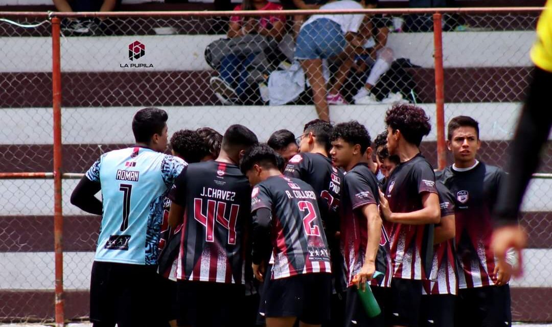 LA ACADEMIA MLC GOLEA