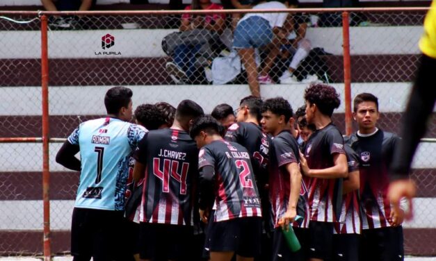 LA ACADEMIA MLC GOLEA